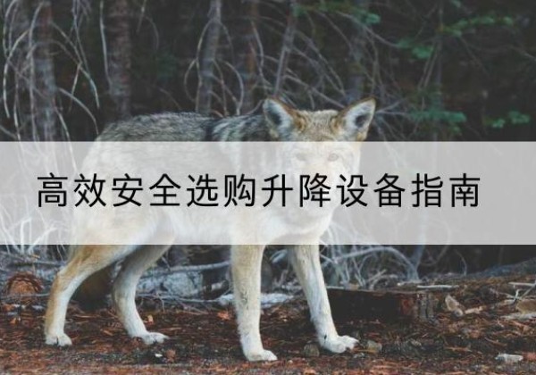 乌海升降货梯厂家推荐-*安全选购升降设备指南