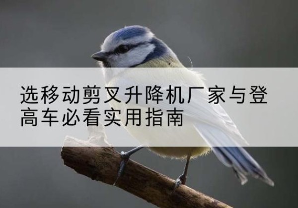 乌海电动升降机厂家-选移动剪叉升降机厂家与登高车必看实用指南