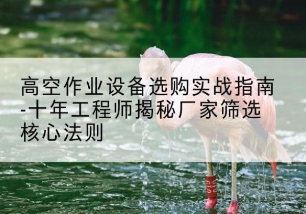 乌海剪叉式升降机厂家-高空作业设备选购实战指南-十年工程师揭秘厂家筛选核心法则